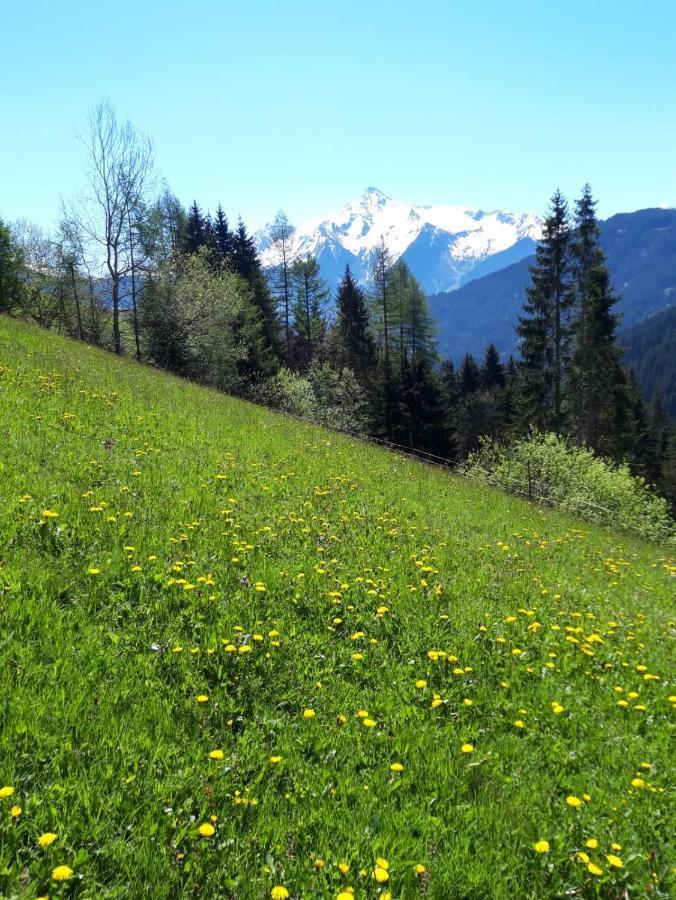 Ferienwohnung Schiestl Zell am Ziller Exteriör bild